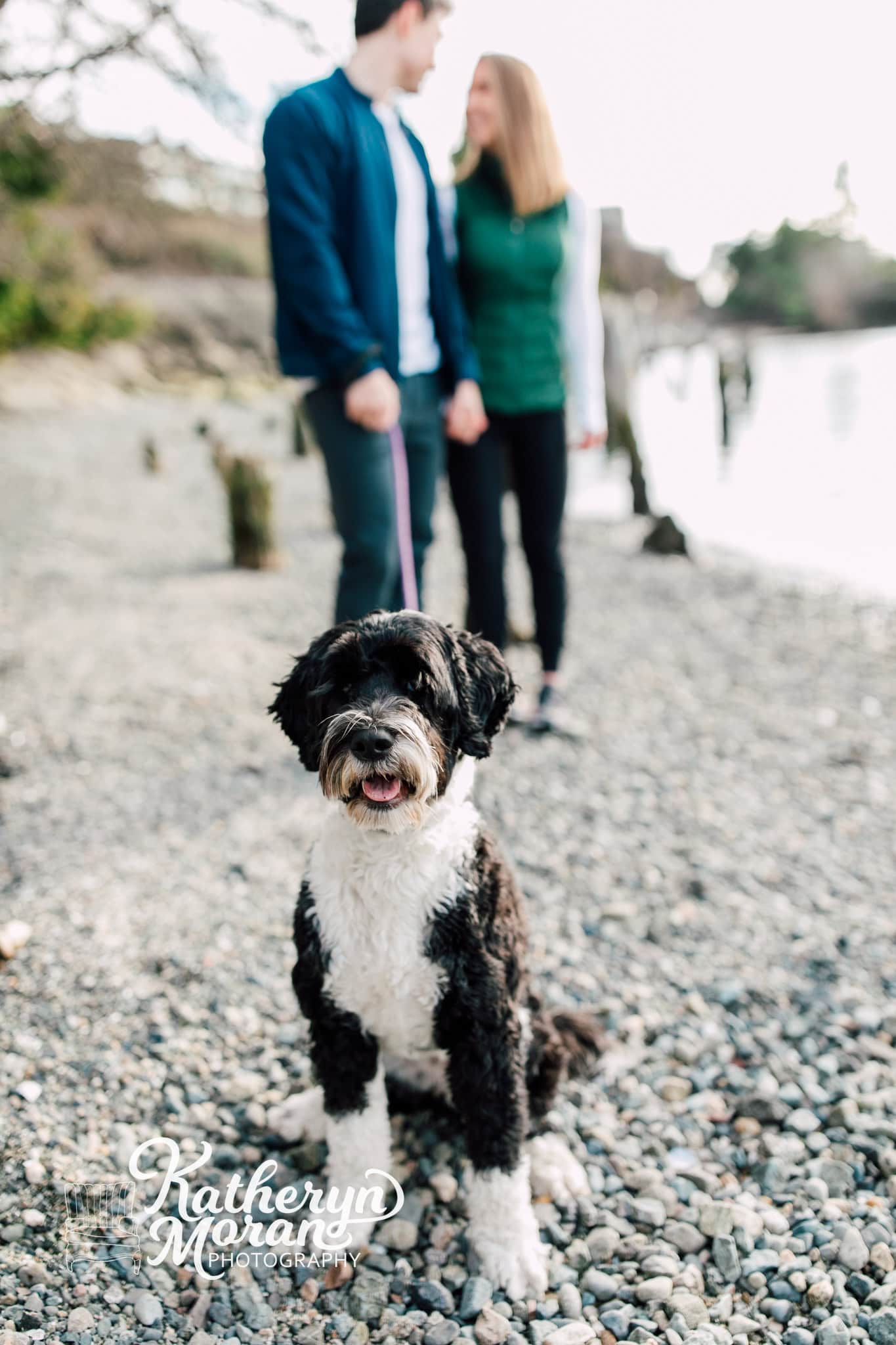 Boulevard Park Bellingham Family Maternity Engagement Photographer Katheryn Moran Photography