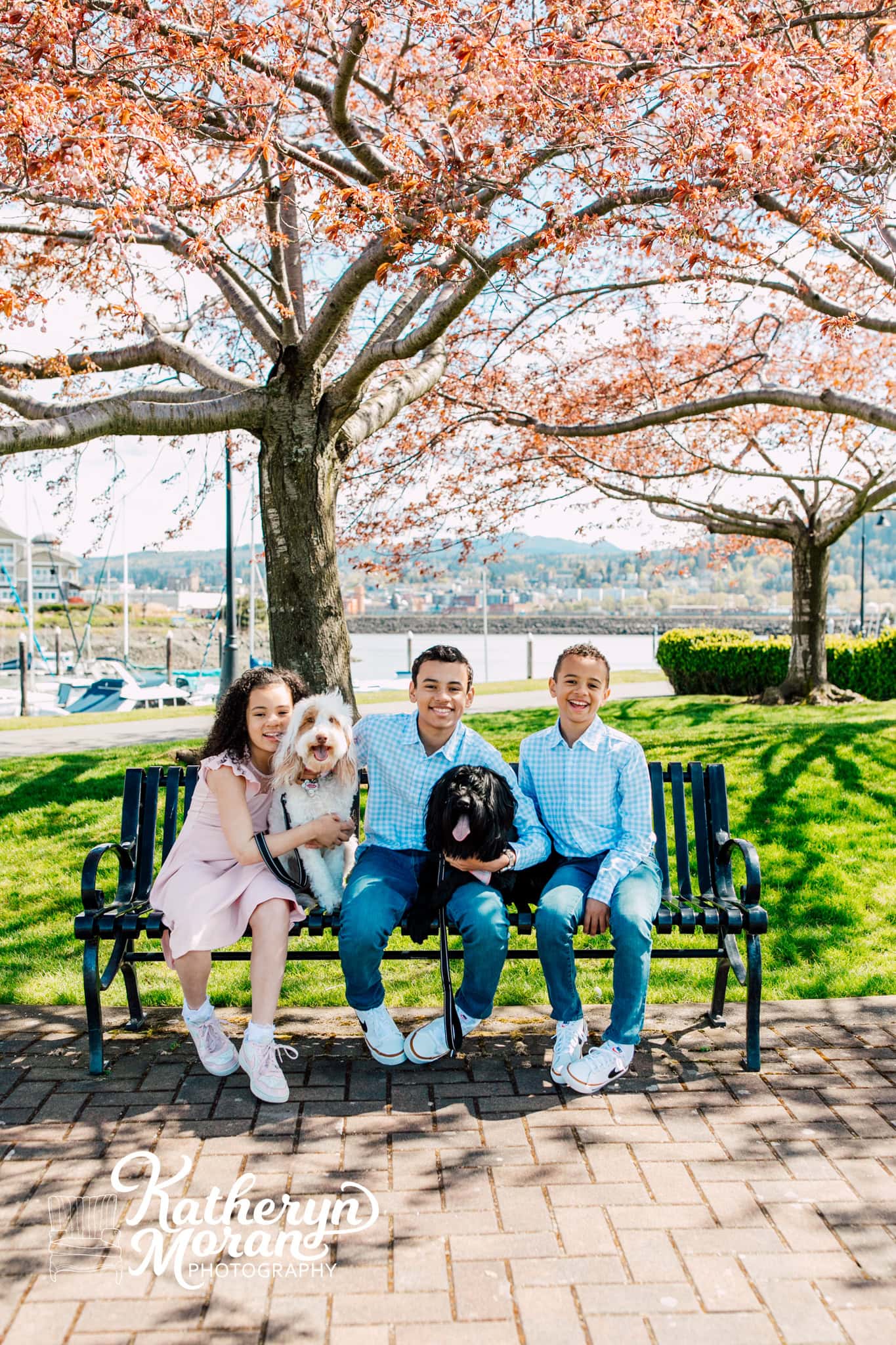 Zuanich Point Park Kulshan Trackside Bellingham Family Maternity Engagement Photographer Katheryn Moran Photography