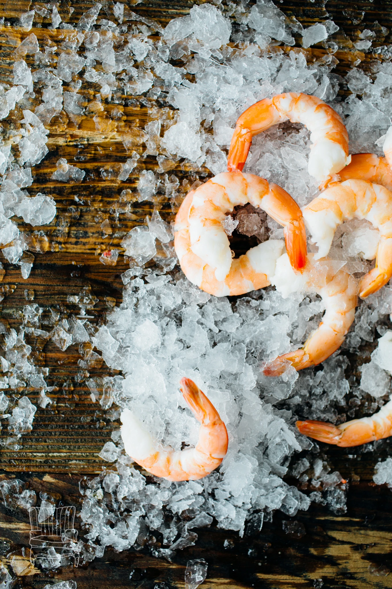 Seattle Bellingham Professional Seafood Photographer