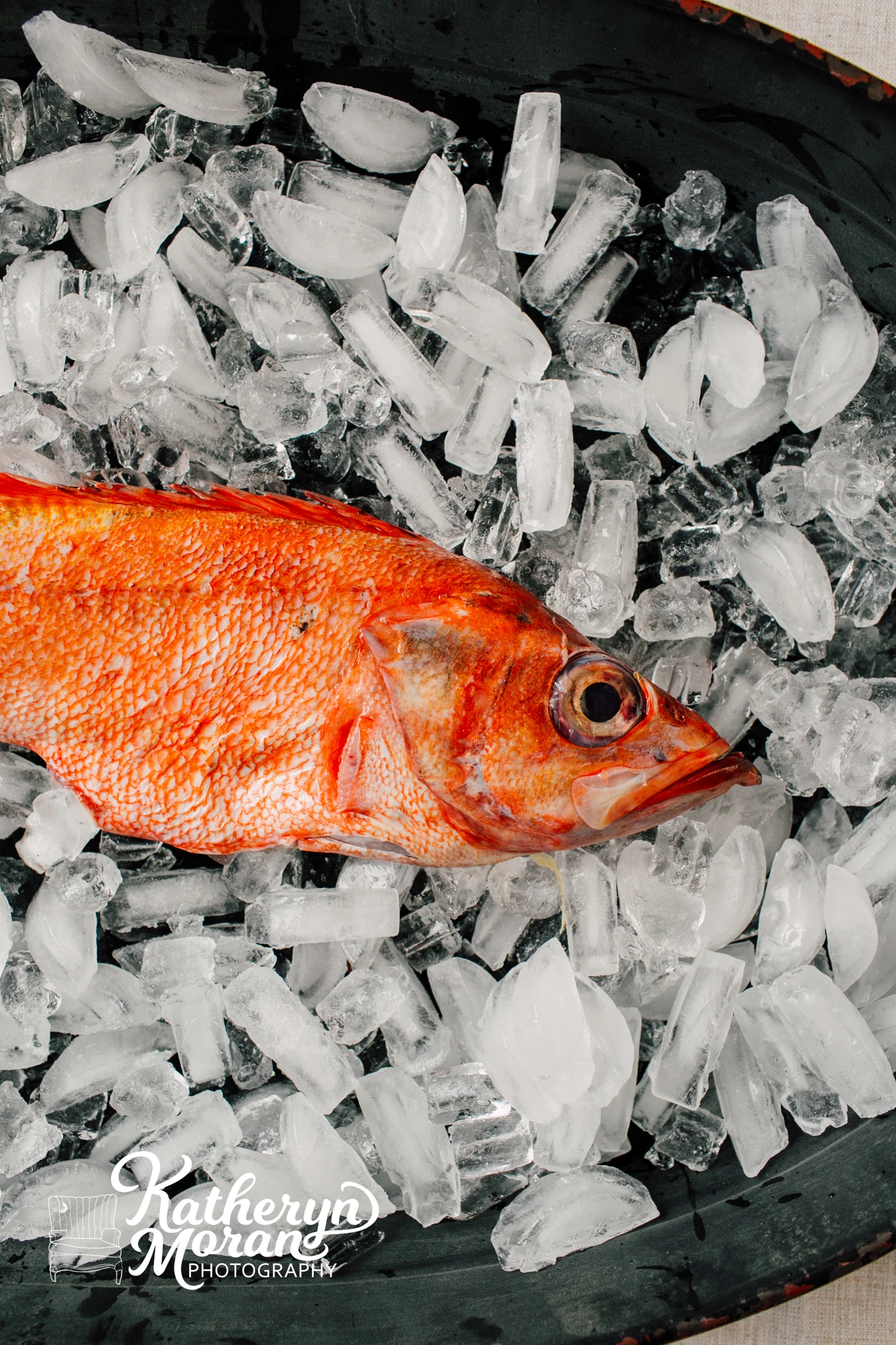 Seattle Bellingham Professional Seafood Photographer