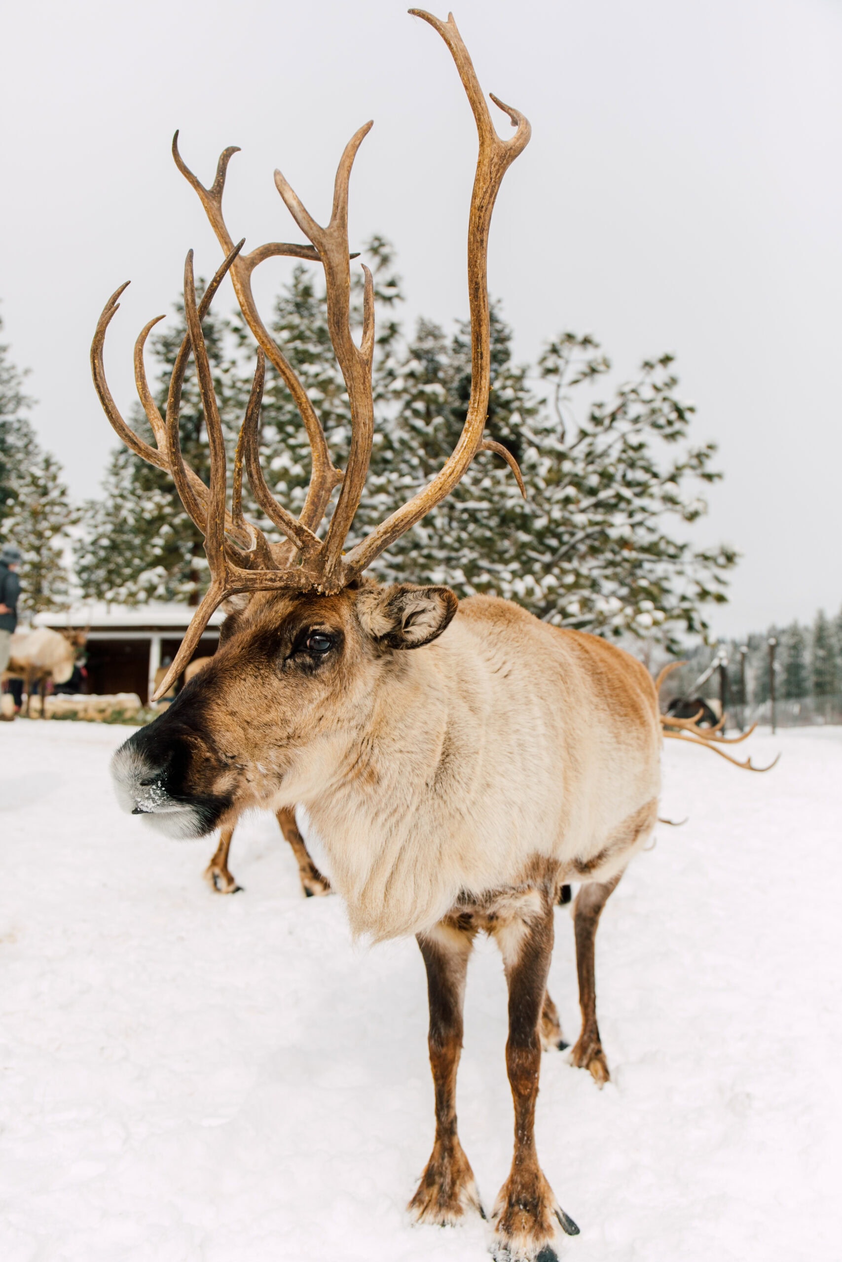 Leavenworth travel photographer katheryn moran