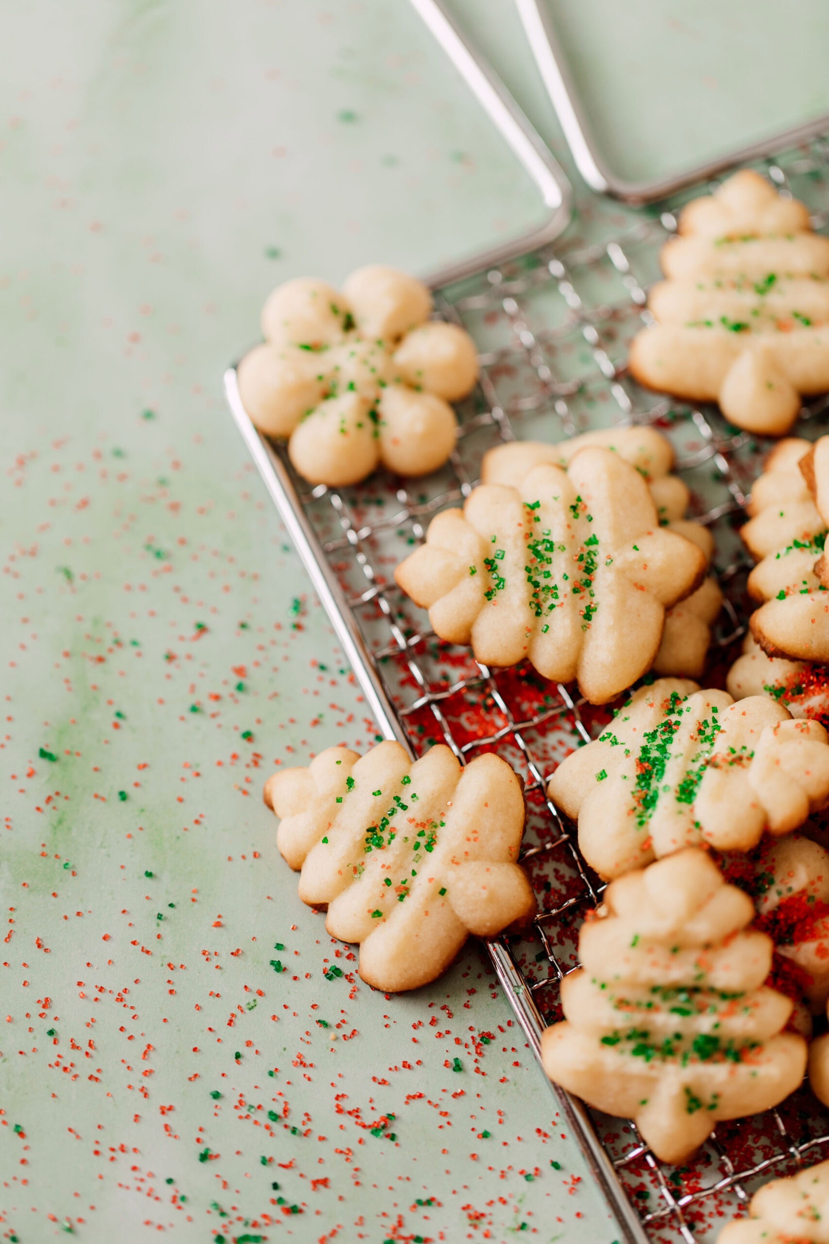 professional cookie photographer katheryn moran