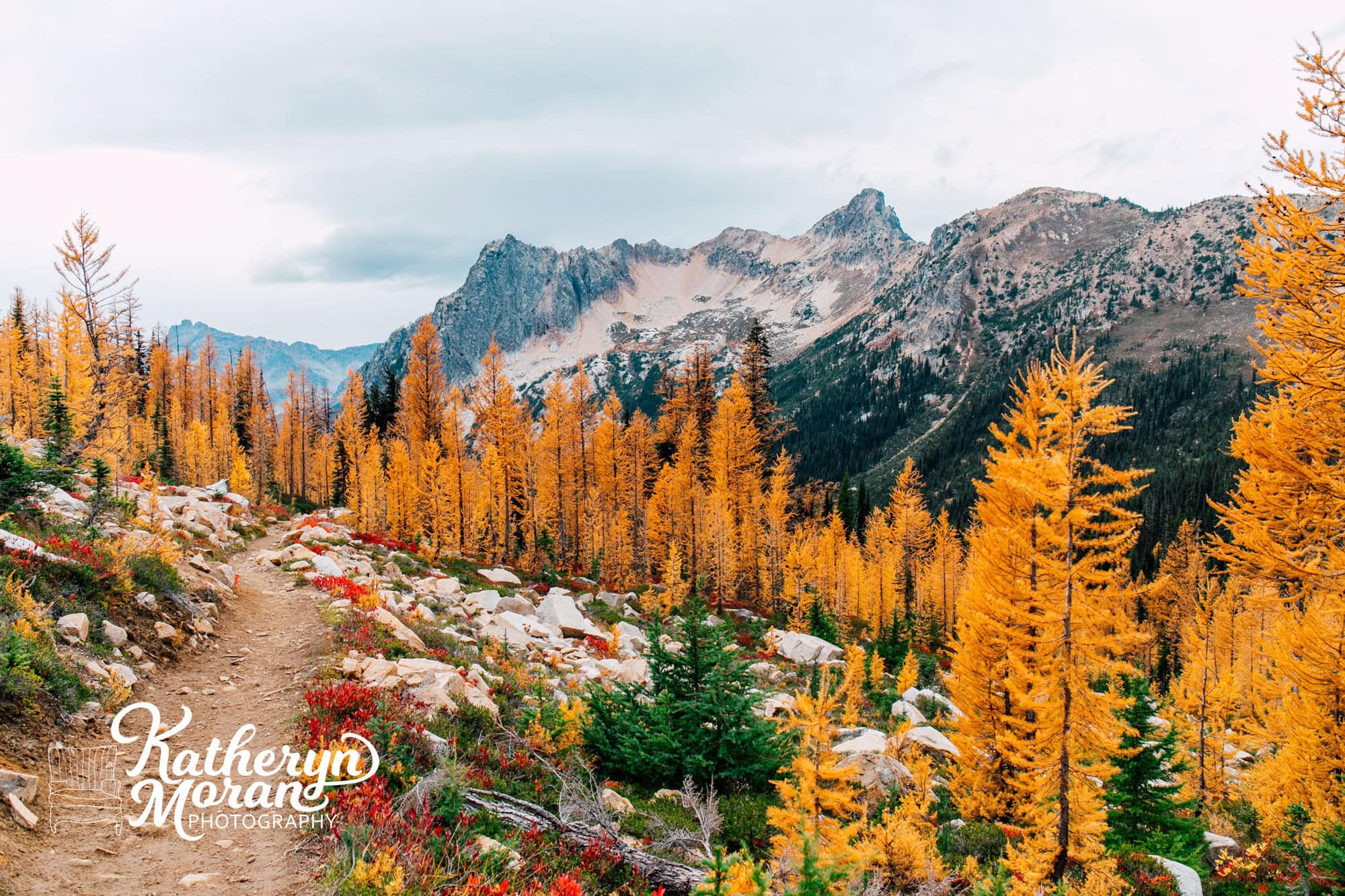 bellingham professional travel photographer katheryn moran cutthroat pass larches 