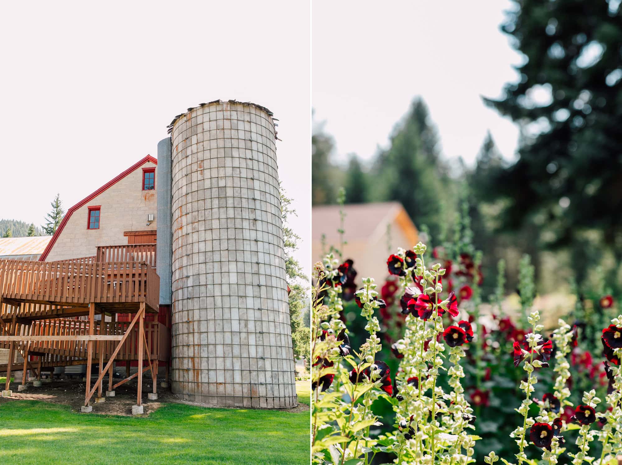 Leavenworth Professional Wedding Photographer Katheryn Moran Pine River Ranch