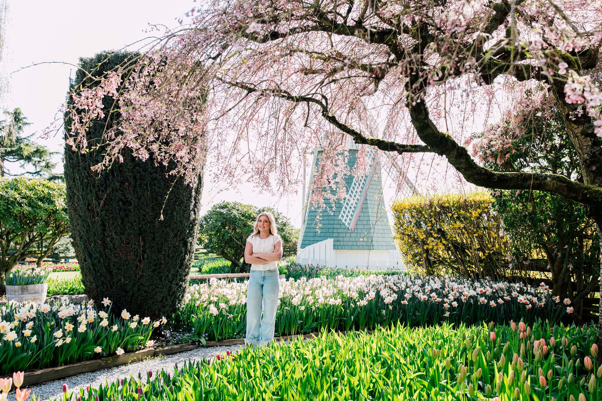 Bellingham Professional Photographer Graduation Photos Roozengaarde Tulip Festival
