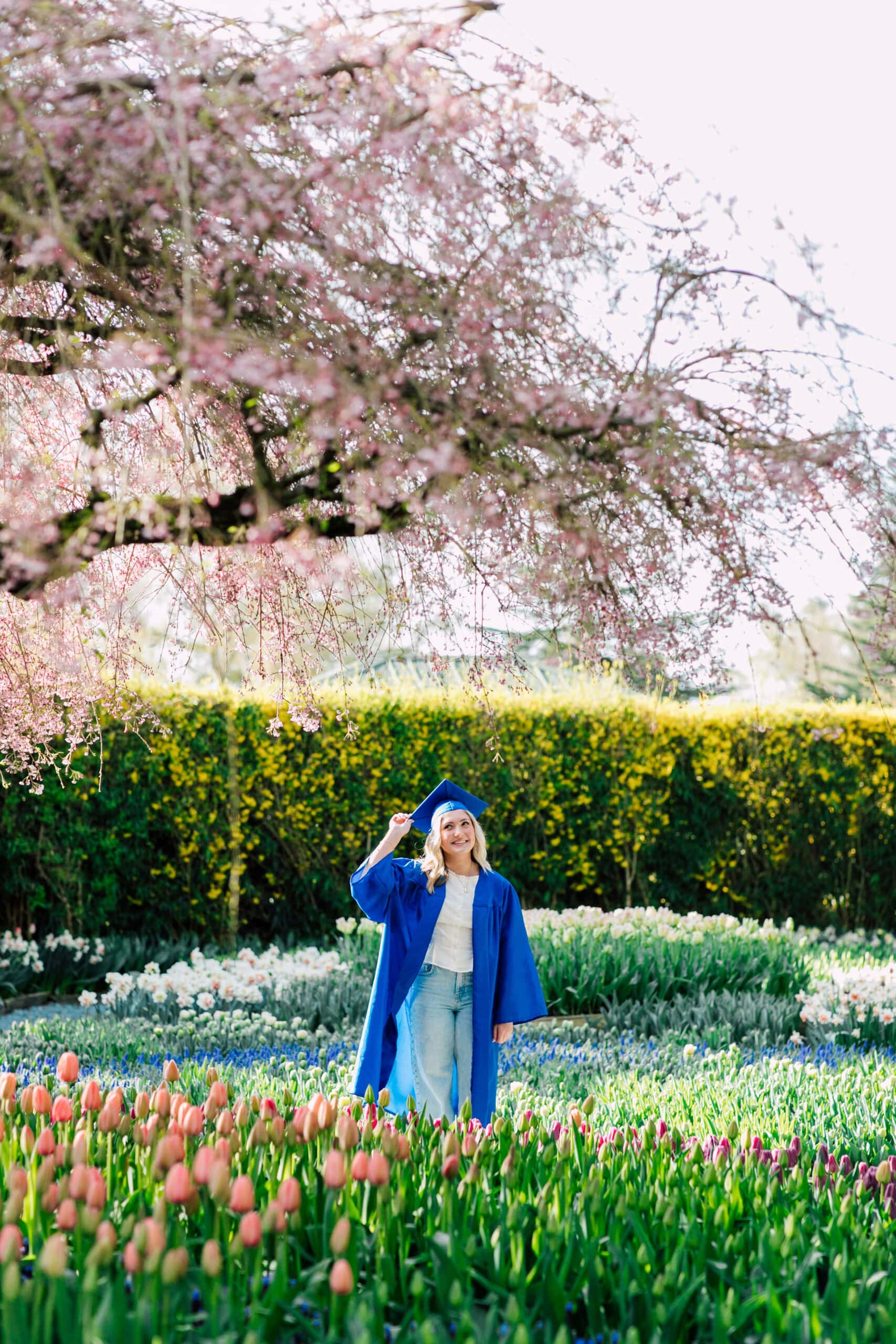 Bellingham Professional Photographer Graduation Photos Roozengaarde Tulip Festival