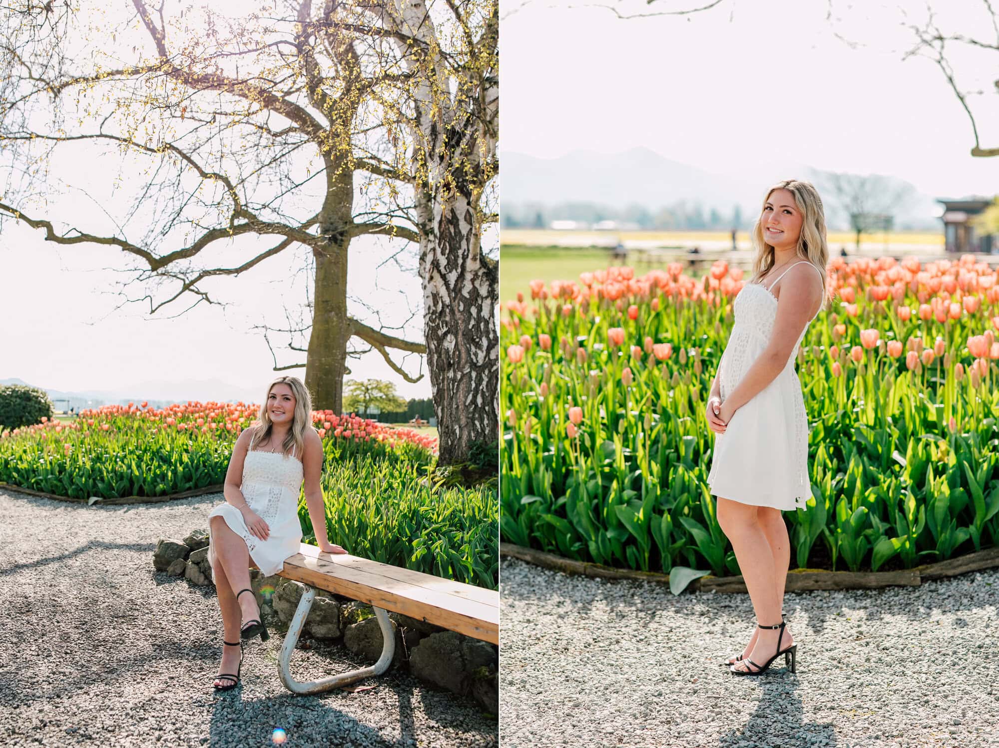 Bellingham Professional Photographer Graduation Photos Roozengaarde Tulip Festival