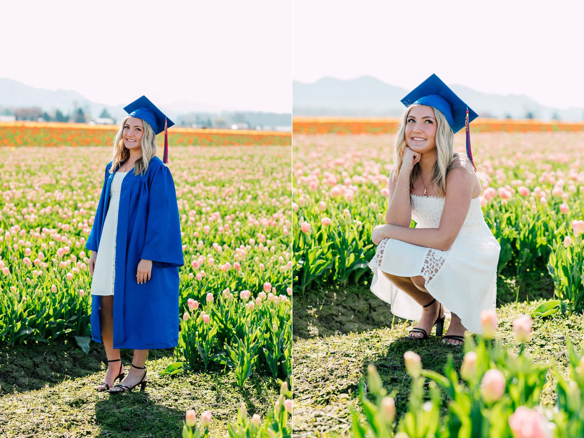 Bellingham Professional Photographer Graduation Photos Roozengaarde Tulip Festival
